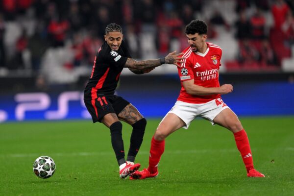 Tomás Araújo Benfica dan Raphinha Pengganti Potensial Kim Min-jae temp