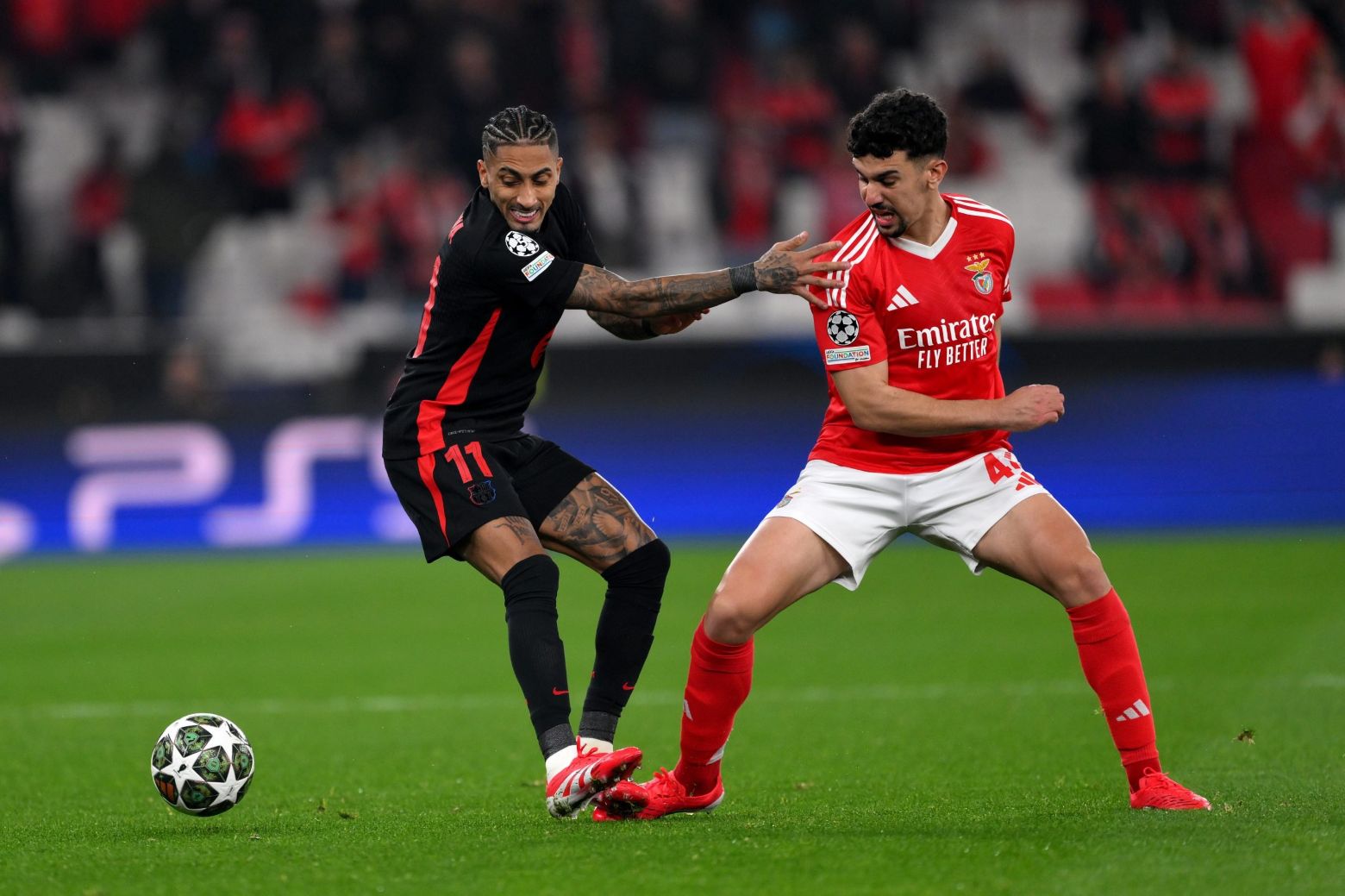 Tomás Araújo Benfica dan Raphinha Pengganti Potensial Kim Min-jae temp