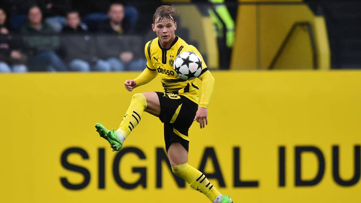Cole Campbell Borussia Dortmund Latar Belakang dan Karier Awal
